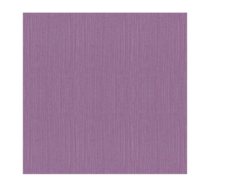 Zsa Zsa Eggplant-DIY Wedding invitations, paper, cardstock, eggplant purple card, purple card textured card, textured purple card, bumpy card, wedding invitations, birthday invitations, unusual paper, unique paper, peterkin