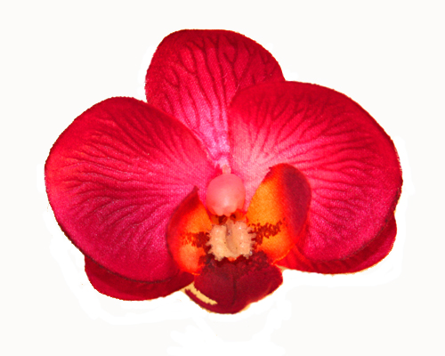 Orchid Head Hot Pink with Burgundy centre (Pack of 24)-Orchid Head Hot Pink, Phalaenopsis Orchid, artificial flowers, fake flowers, wedding, DIY, bomboniere