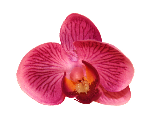 Orchid Head Lilac with Purple Centre (Pack of 24)-Orchid Head Lilac with Purple Centre, artificial flower, fake flower, orchid, phalaenopsis orchid, bomboniere, DIY, wedding 