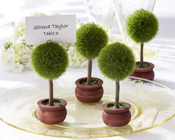 Topiary Photo Holder/Place Card Holder (Set of Four)-Topiary Photo Holder Place Card Holder, Place Card, Photo Holder, Bomboniere, Wedding, Unique Bomboniere