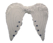 Angel Wings-Angel Wings, Christmas Angel Wings, angel dress up's, white wings, white angel wings